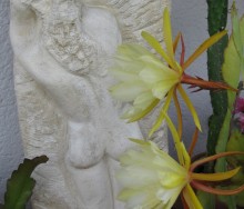 IMG_1859